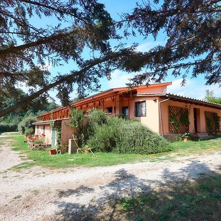 La Dimora Degli Etruschi Hostel Civitella Cesi Kültér fotó