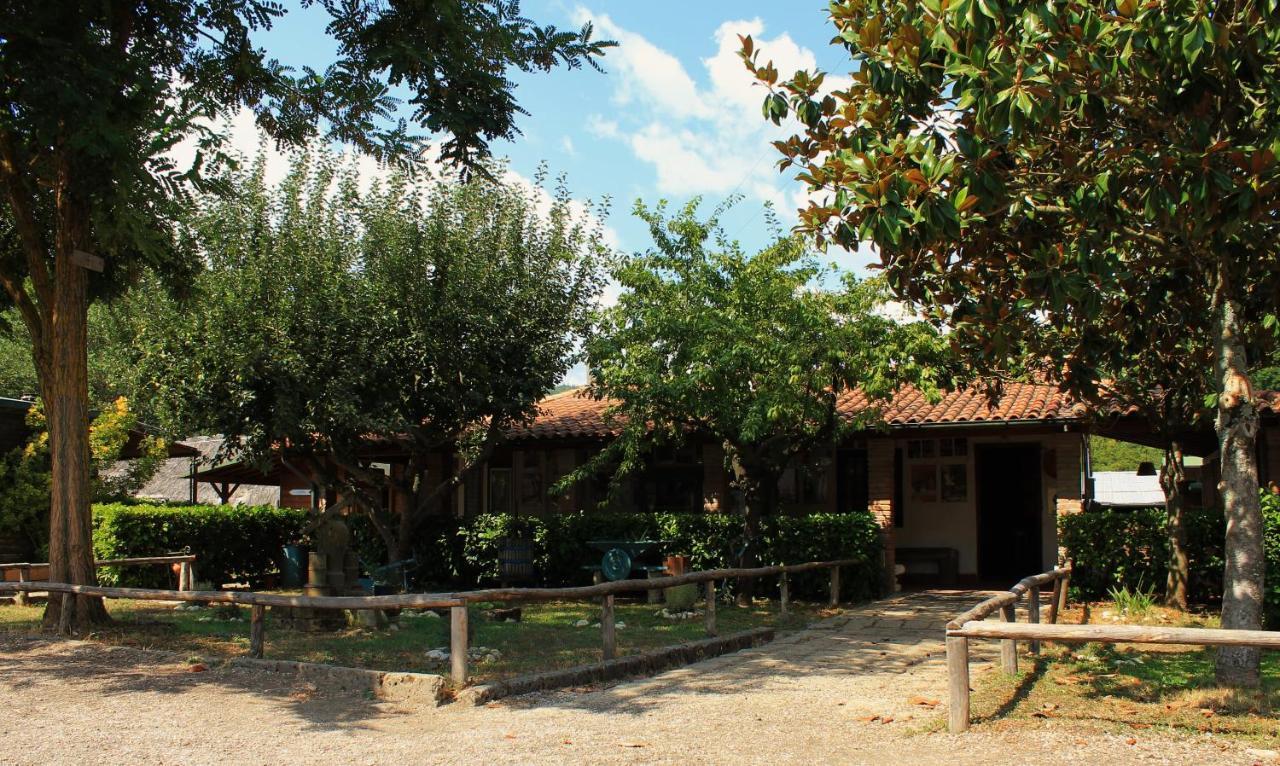 La Dimora Degli Etruschi Hostel Civitella Cesi Kültér fotó