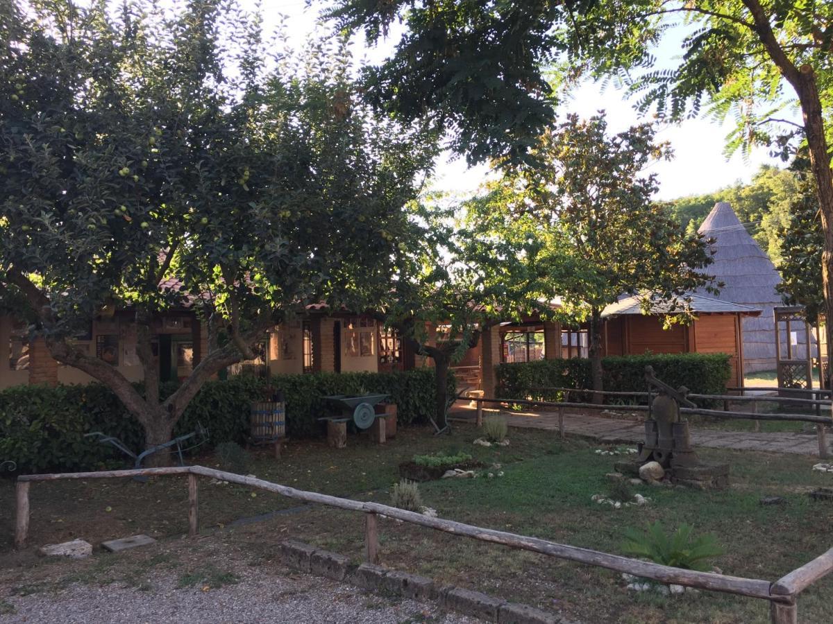 La Dimora Degli Etruschi Hostel Civitella Cesi Kültér fotó