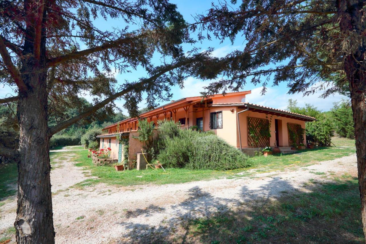 La Dimora Degli Etruschi Hostel Civitella Cesi Kültér fotó