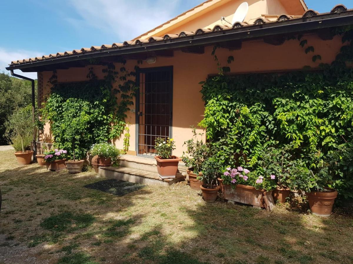 La Dimora Degli Etruschi Hostel Civitella Cesi Kültér fotó