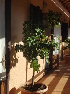 La Dimora Degli Etruschi Hostel Civitella Cesi Kültér fotó